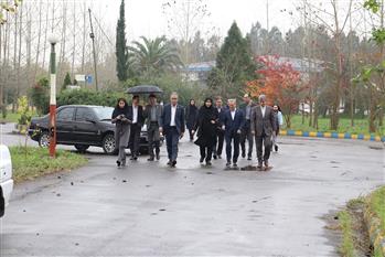 بازدید معاون وزیر و رئیس سازمان تحقیقات، آموزش و ترویج كشاورزی از موسسه تحقیقات برنج كشور