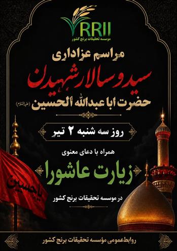 طنین زیارت عاشورا در مؤسسه تحقیقات برنج كشور همزمان با تاسوعای حسینی