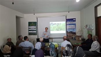 برگزاری كارگاه اموزشی كشت دوم پس از برداشت برنج در شالیزار