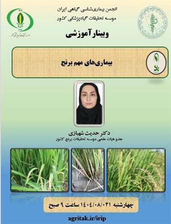 برگزاری وبینار آموزشی با عنوان بیماری‌های مهم برنج